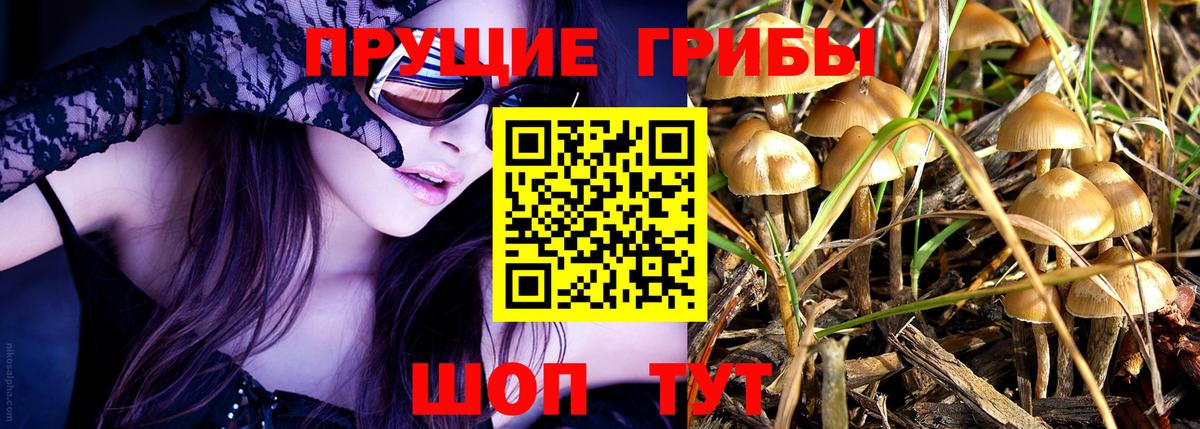 Галлюциногенные грибы Cubensis  Псилоцибиновые грибы Magic Shrooms  Вход с VPN  Гай 