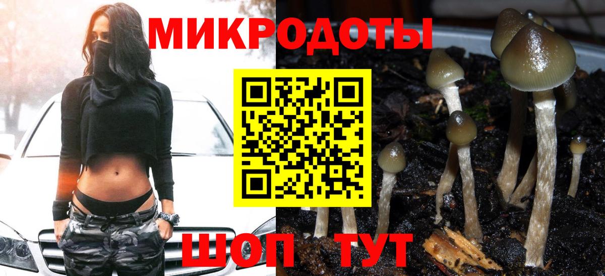Галлюциногенные грибы Magic Shrooms Гай