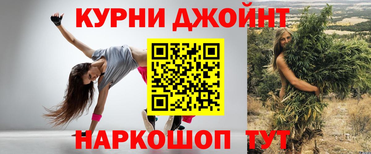 Конопля индика Гай
